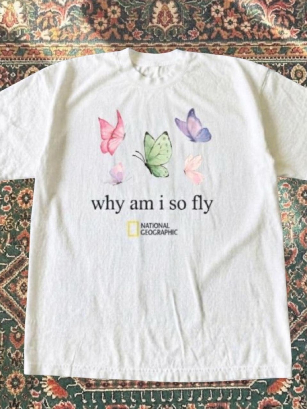 White National Geographic Kids 'Why Am I So Fly' Butterfly Graphic Tee